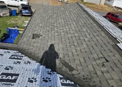 Reliable Roofing Cleaning